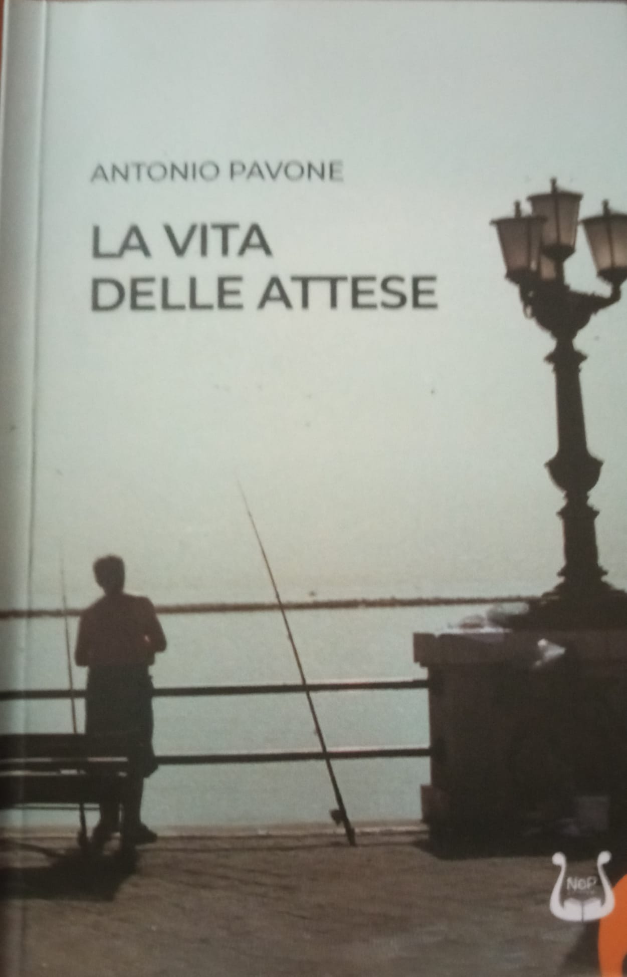 Episodio n.175 LA VITA DELLE ATTESE
